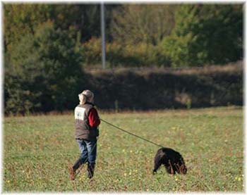 Elevage du CLOS DE LA LUETTE - COPYRIGHT DEPOSE